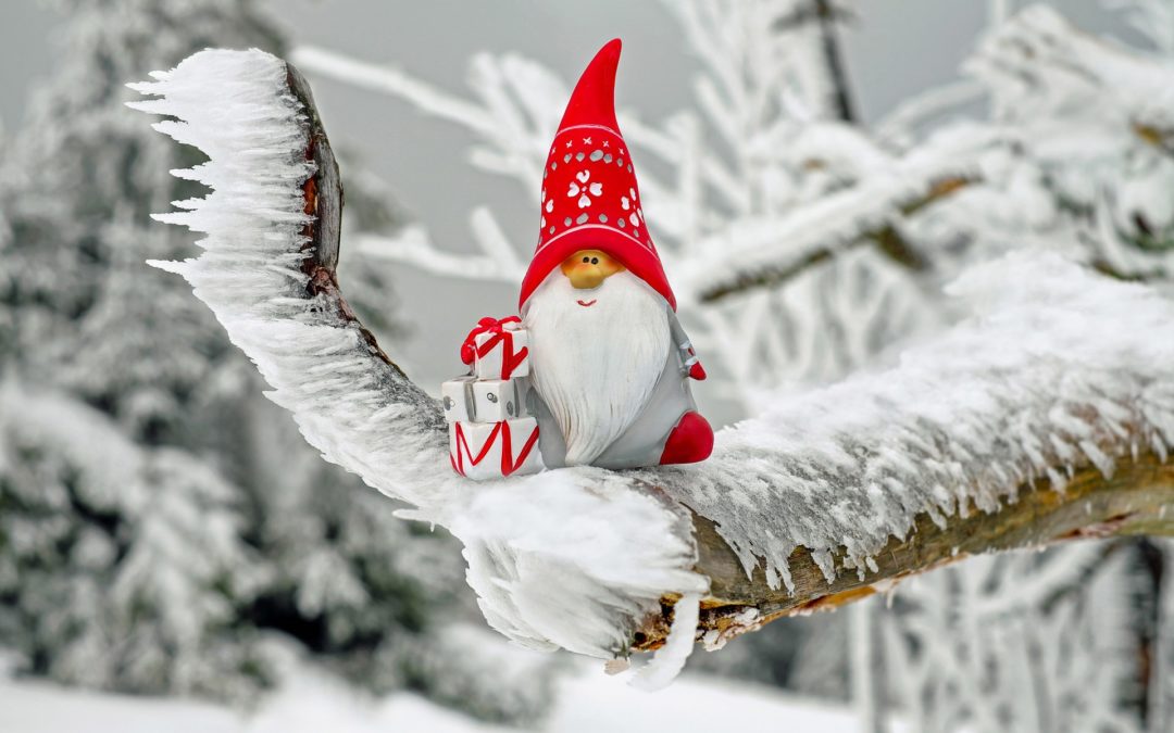 Weihnachtsverlosung 2020